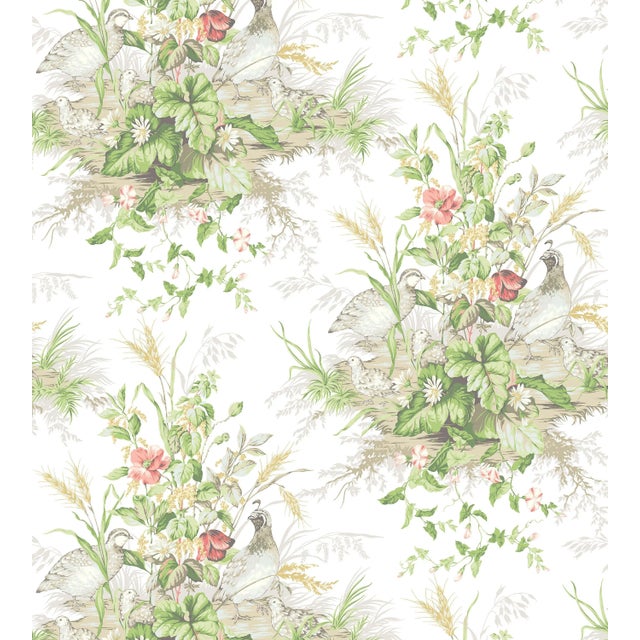 Sample - The House of Scalamandre Edwin'S Covey Wallcovering, Prairie For Sale