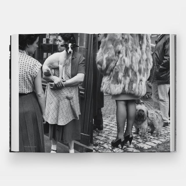 DogDogs Photography Book For Sale - Image 10 of 12