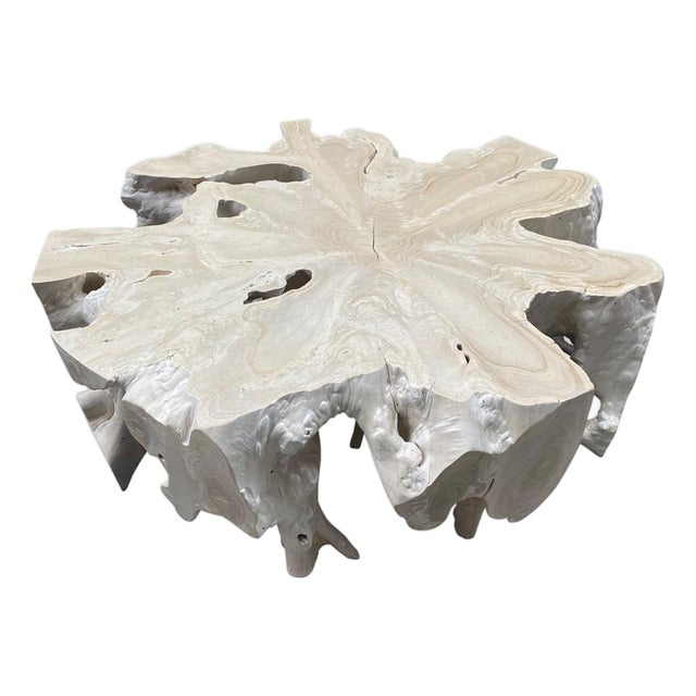 Andrianna Shamaris Bleached Teak Wood Round Organic Coffee Table For Sale