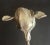 Vintage/Antique Art Nouveau Silver Taper Candle Stick Holder For Sale - Image 4 of 8