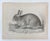 Mid 19th Century Us Pacifc Railroad Rabbit Lithograph Book Plate For Sale - Image 4 of 4