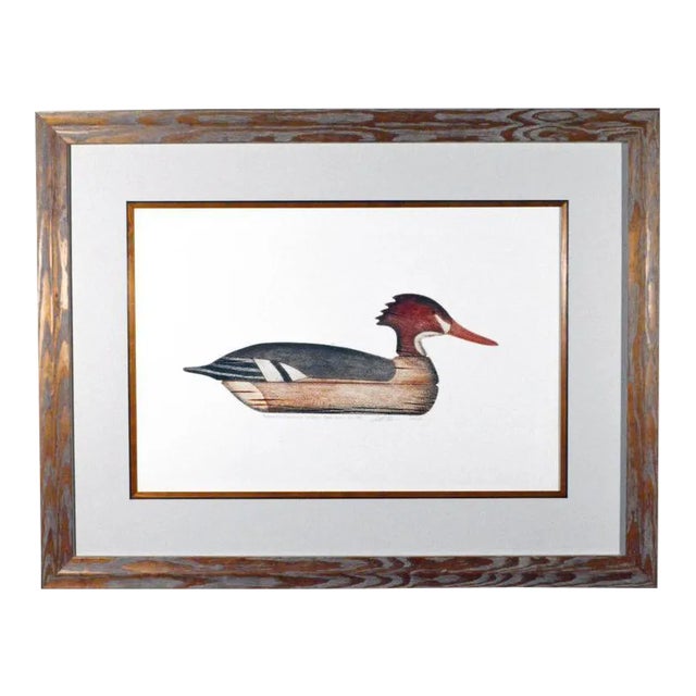 American Folk Art Reimagined: A Print of a Duck Decoy by Arthur Nevin This lithograph print of a Redbreasted Merganser...