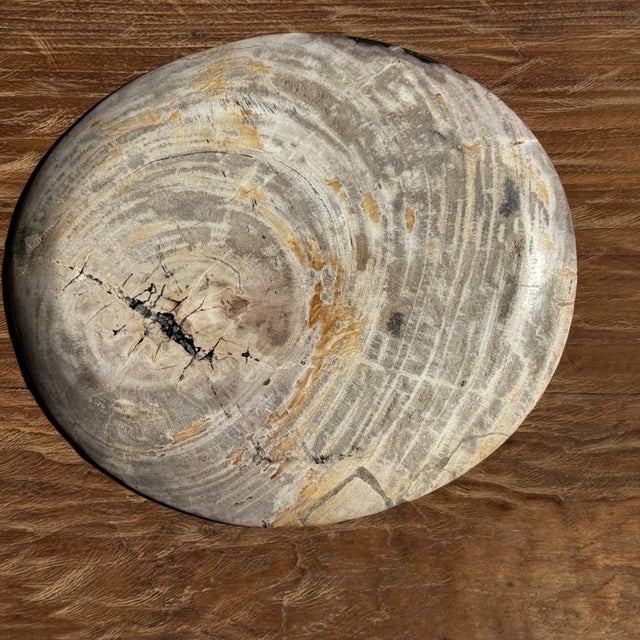 Stone Petrified Wood Trinket Tray, 1980s For Sale - Image 7 of 11