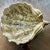 United Wilson 1897 Chinese Porcelain Shell Bowl – Hand Painted Floral With Gold Accents, Hong Kong For Sale - Image 10 of 12