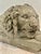 Rustic European Vintage Weathered Concrete Recumbent Lion Garden Sculpture 16.5” For Sale - Image 3 of 10