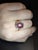 Why blend in when you can shine like a star—literally? This 5.52ct star ruby dazzles with a natural asterism and is...