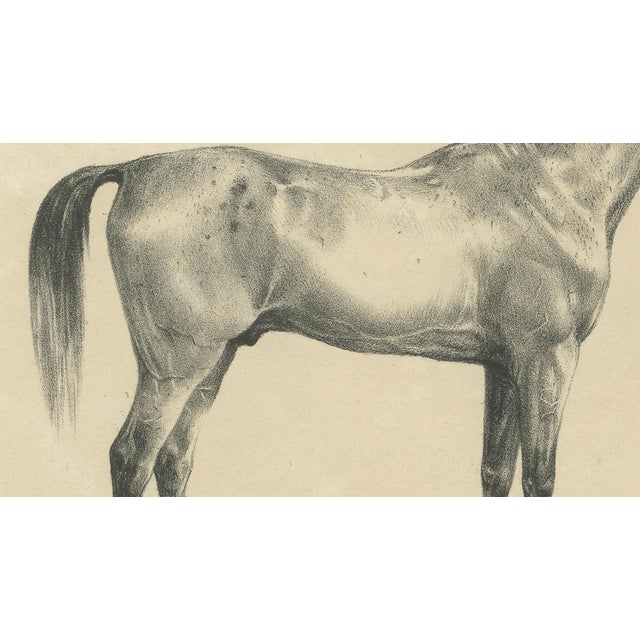 Mid 19th Century G. Ebner, Sultan Mahmoud, 1846, Lithograph For Sale - Image 5 of 9