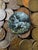 When the Moon Ascends by Bryanna Marie | Oil On Coin of a hare in a moonlit forest setting For Sale