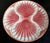 De Sarreguemines Sarreguemines French Majolica Pink Shell Motif Plate, C. 1920's For Sale - Image 4 of 8