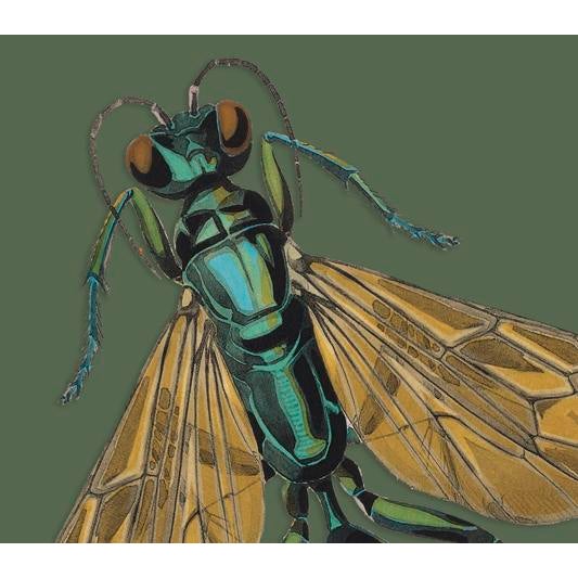 The series was produced by CFA editions from original pochior prints by E.A. Seguy. The series of insects that Seguy...