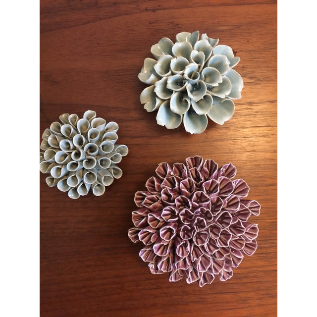 Ceramic Sea Coral Wall Sculpture Chairish