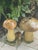 1960s Two Boletus Mushrooms Garden Concrete Ornaments, 2 Pieces For Sale - Image 4 of 6