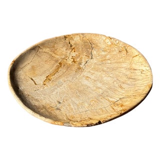 Small Trinket Dish in Round Beige Petrified Wood For Sale