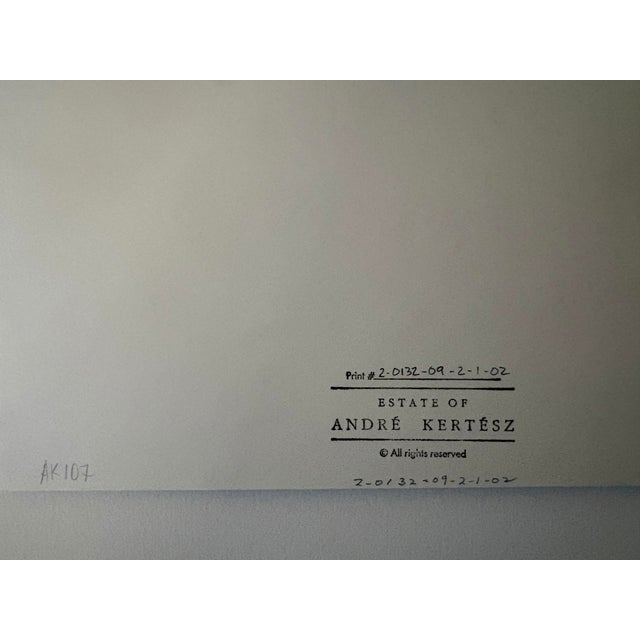 Photorealism Contemporary Chairs of Paris 1927 by André Kertész For Sale - Image 3 of 4