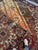 Early 20th Century Stunning Antique Persian Serapi With Crisp Dyes and Rare Animals Inside ~ 10 X 13 For Sale - Image 5 of 7