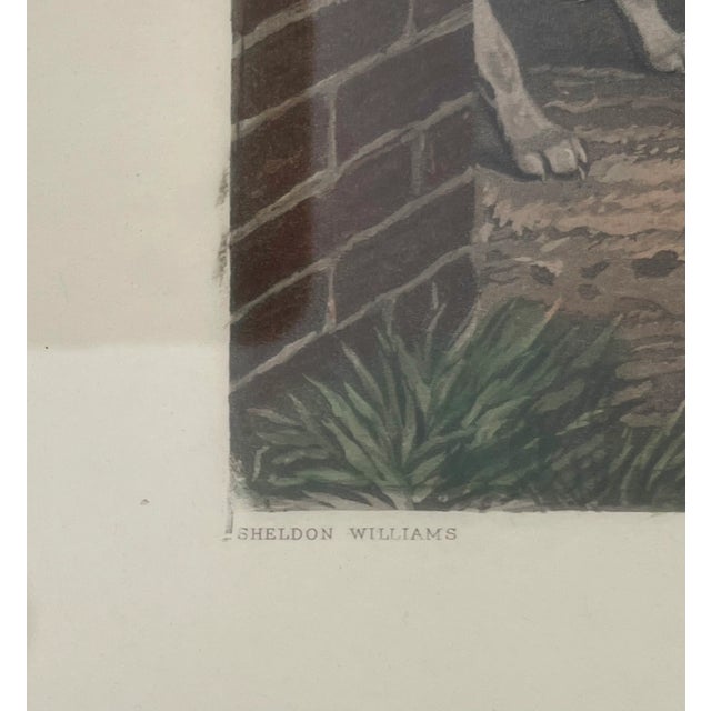 19th C. English Traditional Fox Hunting Engraving After Sheldon