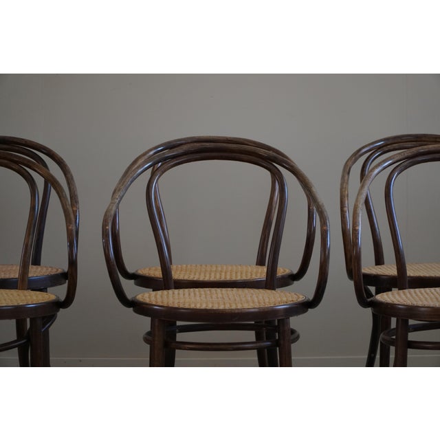Mid-Century Vienna Chairs in Beech & Cane by ZPM Radomsko for Thonet 1960s, Set of 6 For Sale - Image 13 of 18