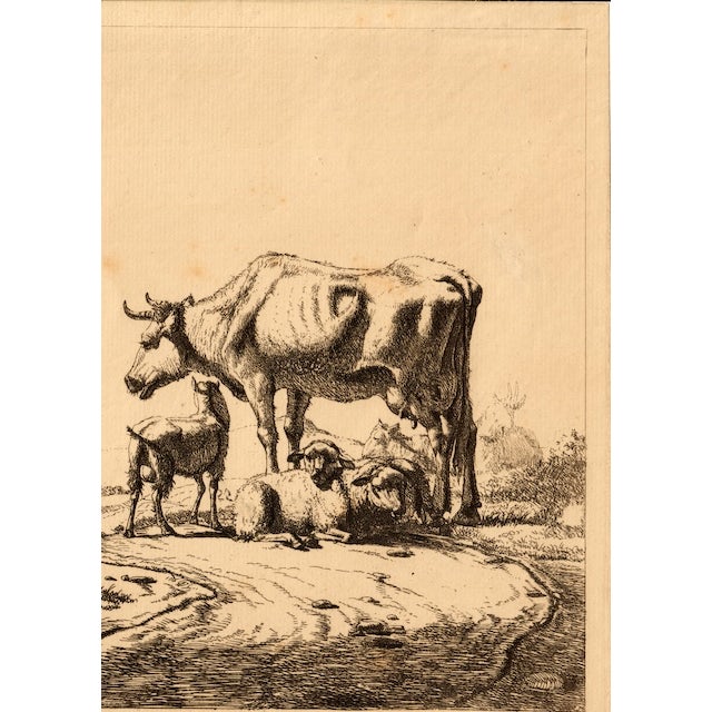 Adriaen Van De Velde Old Master Etching of a Golden Age Pastoral Scene W/ Watermark & Collector's Mark For Sale - Image 4 of 12