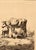 Adriaen Van De Velde Old Master Etching of a Golden Age Pastoral Scene W/ Watermark & Collector's Mark For Sale - Image 4 of 12