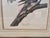1960s XLarge 35"h Reproduction Prints of Audubon "Birds of America" Engravings by R. Havell -Set of 2 For Sale - Image 11 of 17