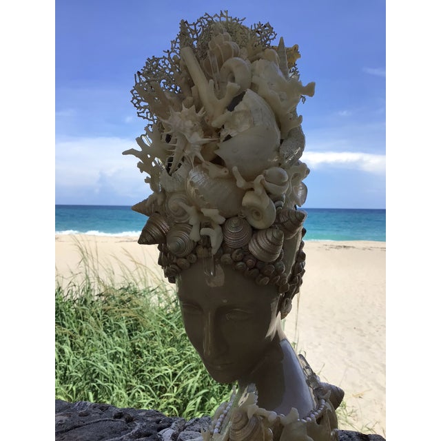 Venus Goddess of the Sea With Natural Shells White For Sale - Image 11 of 11
