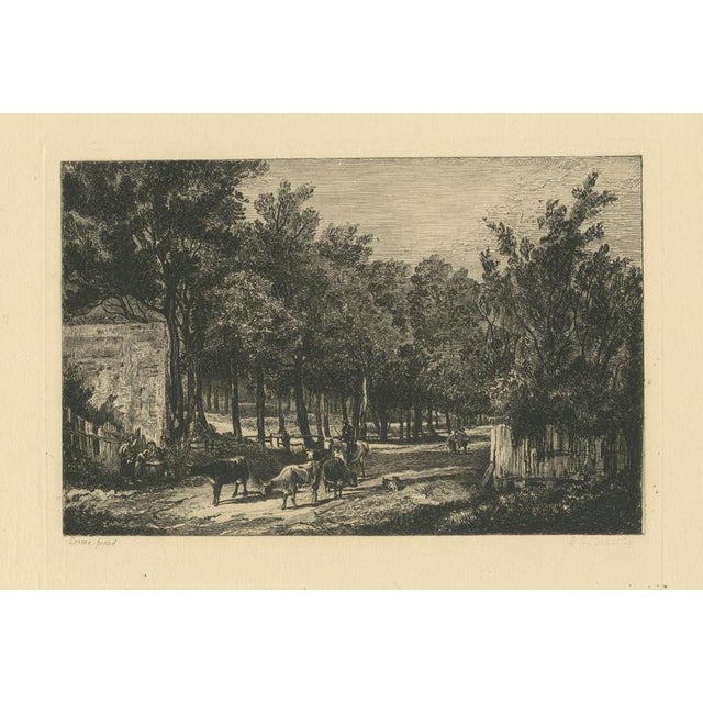 Chattock, Lane with Cattle After John Crome, 1875, Paper Etching For Sale - Image 9 of 9