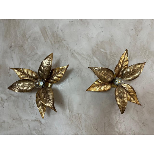 An elegant pair of gilt brass wall sconces, dating from the 1970s, attributed to the Belgian designer Willy Daro for the...