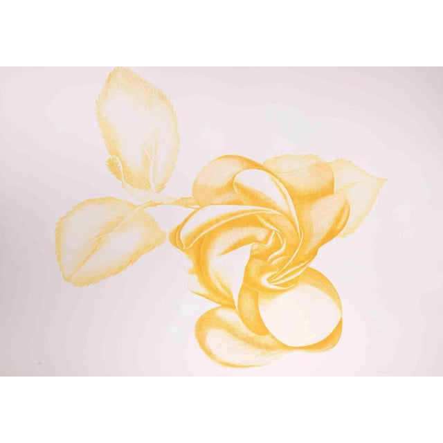 Yellow Rose is an original modern artwork realized by the Italian artist Giacomo Porzano (1925-2006) in 1972. Mixed...
