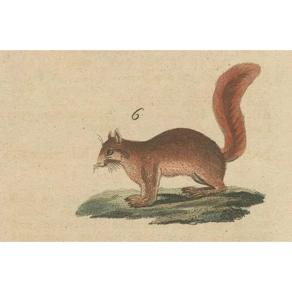 Vierf, 1800, Engraving on Paper For Sale - Image 4 of 10