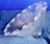 1900 - 1909 1900s Holophane Glass Shade For Sale - Image 5 of 8