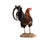 Late 20th Century Life-Size Gamecock Taxidermy Mount Brilliant Red Orange Plumage Sand Mount Rooster For Sale - Image 5 of 17