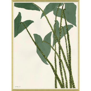 Caladium Framed Art Print by Susan Hable For Sale