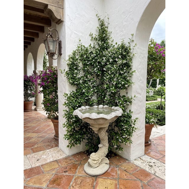 Vintage Scalloped Cast Stone Dolphin Birdbath For Sale In West Palm - Image 6 of 11