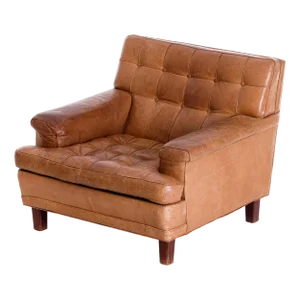 Merkur Easy Chair in Buffalo Leather by Arne Norell, 1960s