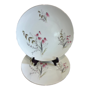 Vintage Royal Duchess Mountain Bell Pink Floral Dinner Plates, Set of 2