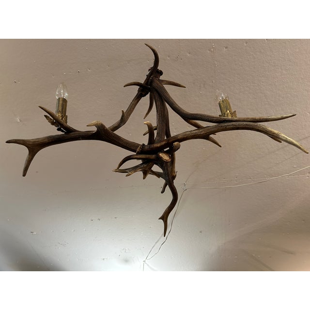 Authentic antler chandelier having 3 arms and unusual great shape. Three lights, 60 watt bulbs.