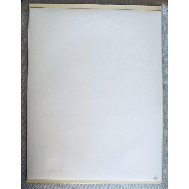 Red David Sharir, Israeli Naive Folk Art Birdhouse Silkscreen Lithograph David Sharir Birds For Sale - Image 8 of 10