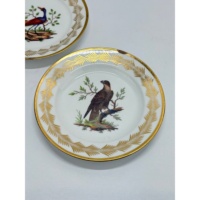 5, French Nast Factory "Ornithological" Porcelain Dessert Plates C. 1815 For Sale - Image 10 of 11