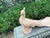 Vintage Italian Terracotta Peacock Sculpture For Sale - Image 4 of 12