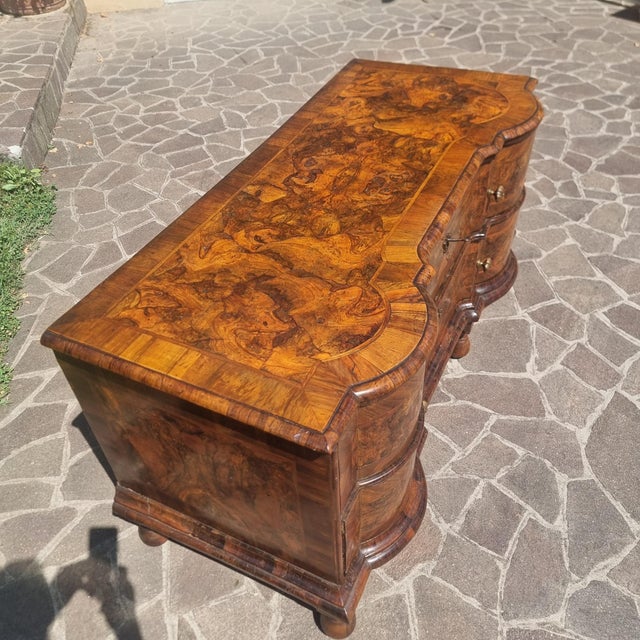 Ferrarese Chest of Drawers in Walnut Burl, 1720s For Sale - Image 6 of 13