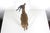 Vintage Leather Wrapped Antelope or Impala Animal Figurine For Sale - Image 4 of 9