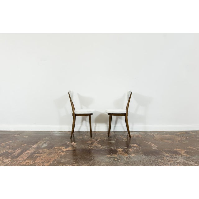 Mid-Century Modern Dining Chairs by H & J Kurmanowicz, Poland, 1950s, Set of 6 For Sale - Image 6 of 17