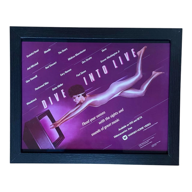 Rare 1980s Rare Warner Video Marketing Poster, Laminate - Framed For Sale