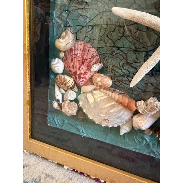 Vintage Seashell Collage Shadow Boxes -a Pair For Sale - Image 11 of 12