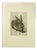 After Albrecht Dürer, Young Hare, Copperplate Engraving, 19th Century For Sale
