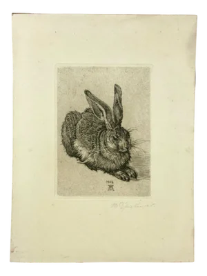 After Albrecht Dürer, Young Hare, Copperplate Engraving, 19th Century