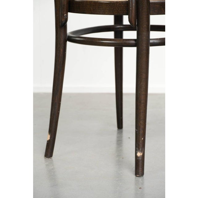 Vintage Long John High Back Armchairs in Curved Wood with Cane Seats from Thonet, Set of 2 For Sale - Image 11 of 13