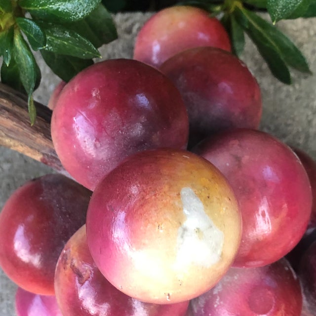 Large Scale Italian hand painted alabaster red grape cluster with wood stem Attached felt circles on the bottom. Minor...