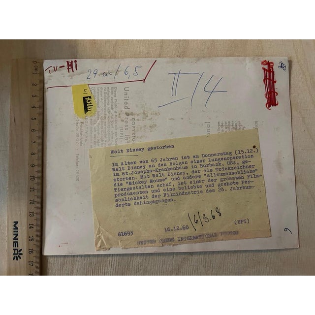 Walter Walt Disney, Original Press Images, 1950s, Photographs, Set of 7 For Sale - Image 12 of 14