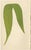 E.J. Lowe, Exotic Fern, 1856, Lithograph, Set of 6 For Sale - Image 3 of 10